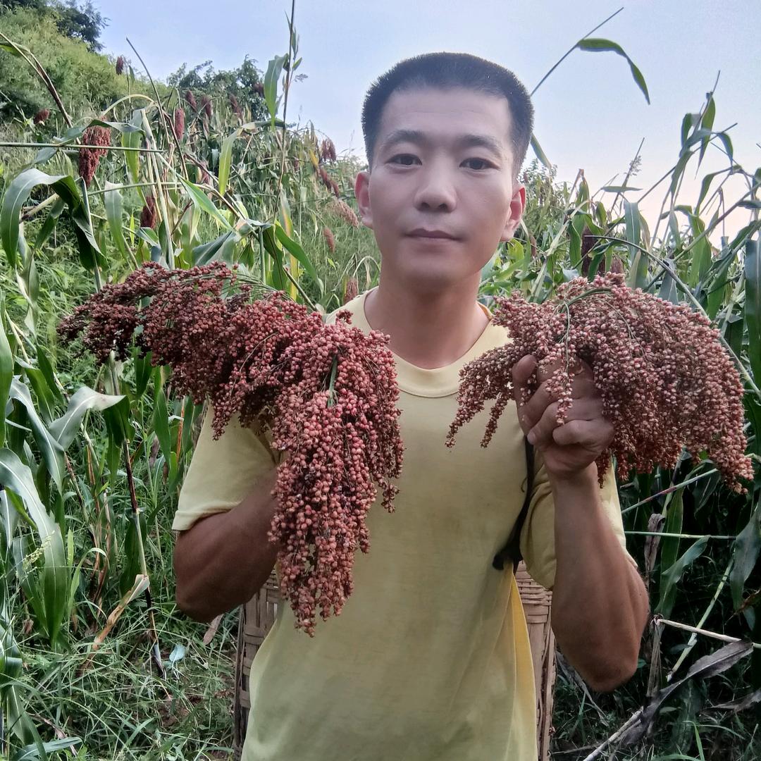 农村小刚