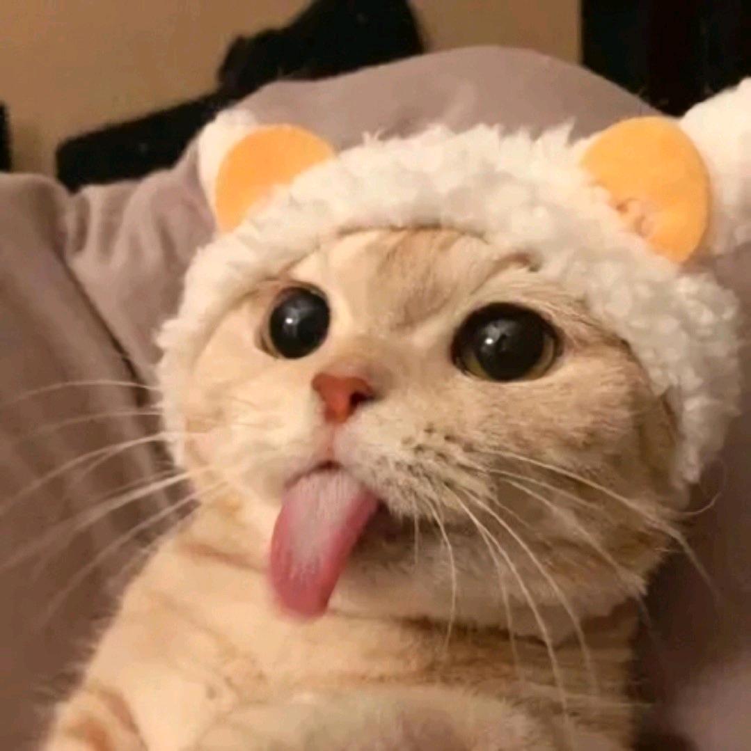 烟花˵¯͒〰¯͒˵