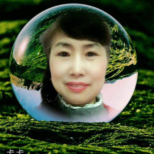 明天更好xdz