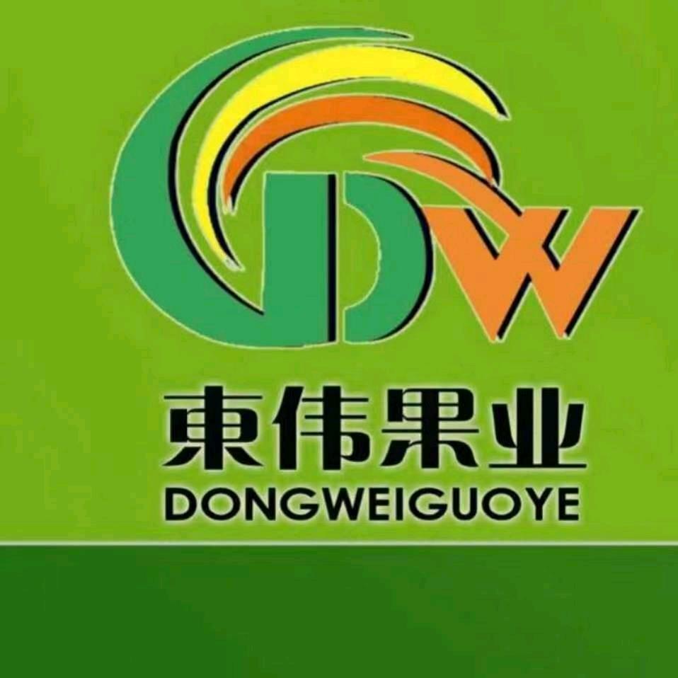 東伟果业精品批发葫芦岛店