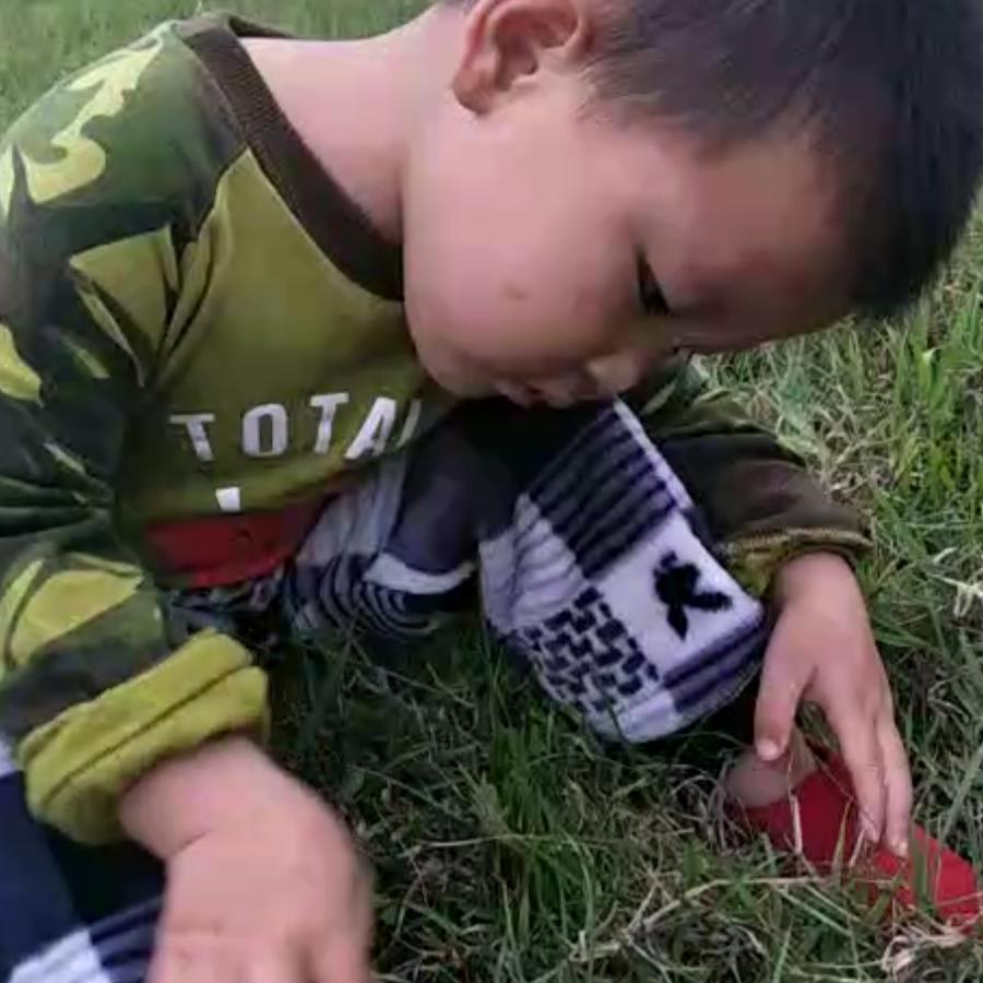 牛逼湛江生蚝