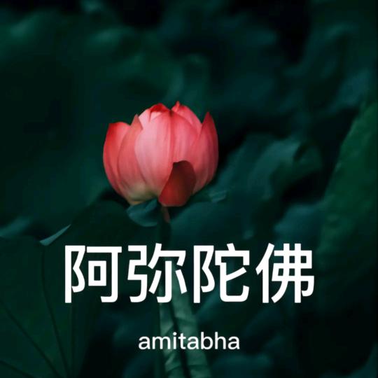 嘻嘻小公主👸