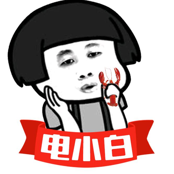 电小白