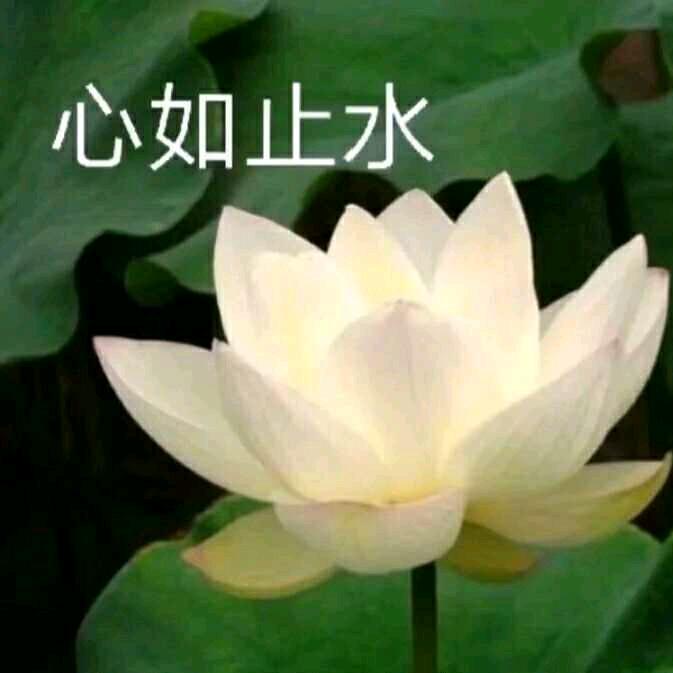 🌻张姐