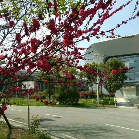 静思忆念