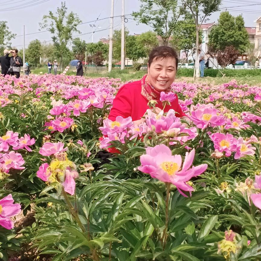 萍萍姐