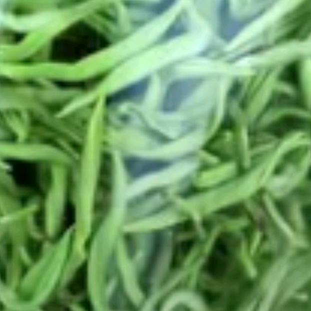 焕古龙神寨茶叶加工厂