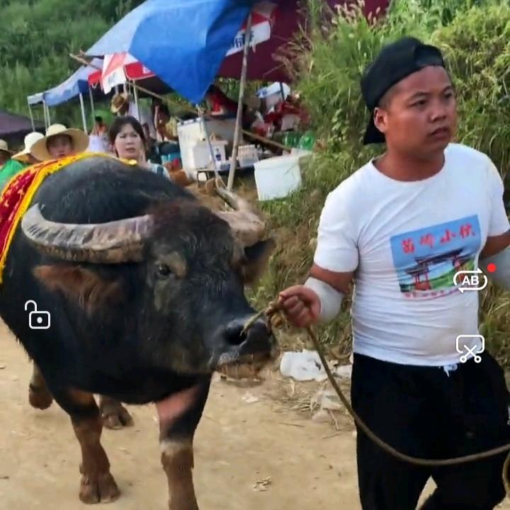 在黔小胖传媒