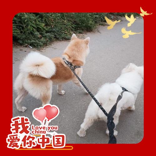 ☀️一缕阳光ღ☀️