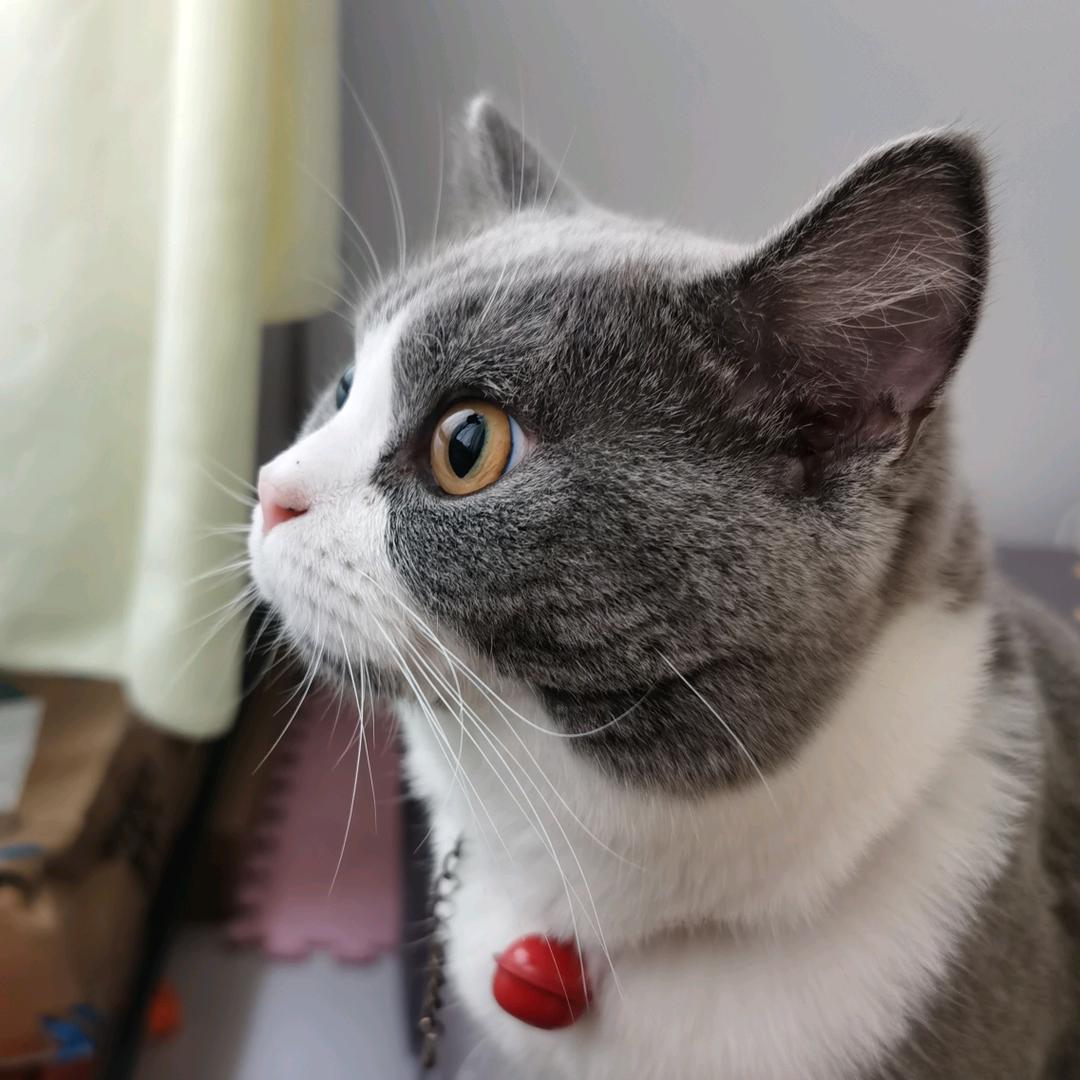 娜小石榴儿