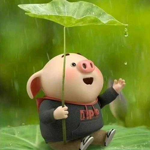 83猪🐷老了