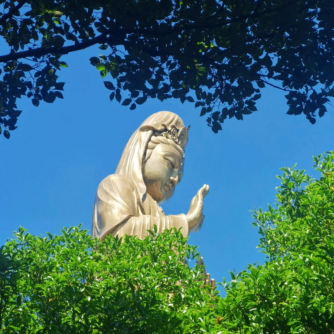 王力门业莒县总代理