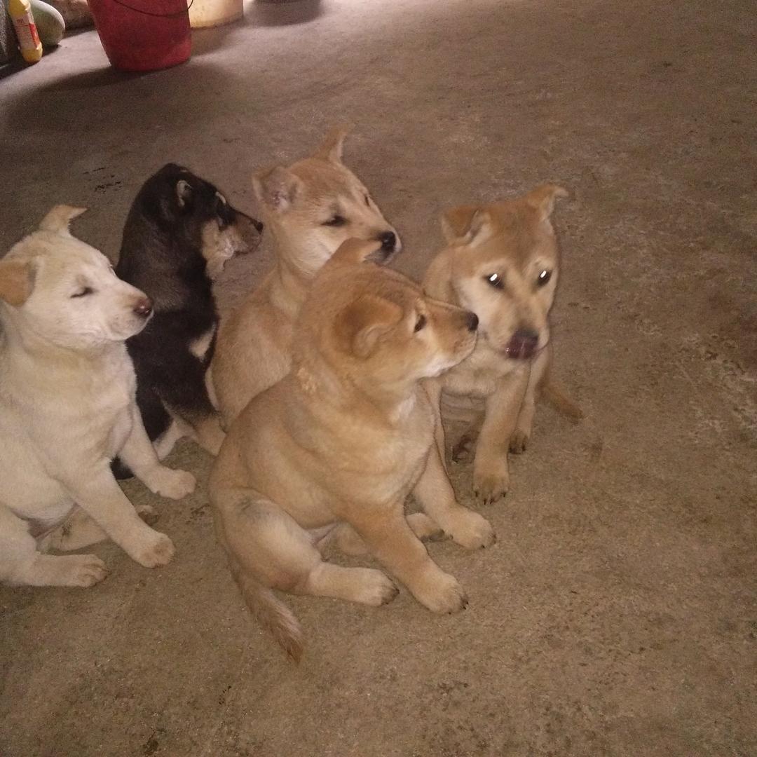 渴望头像