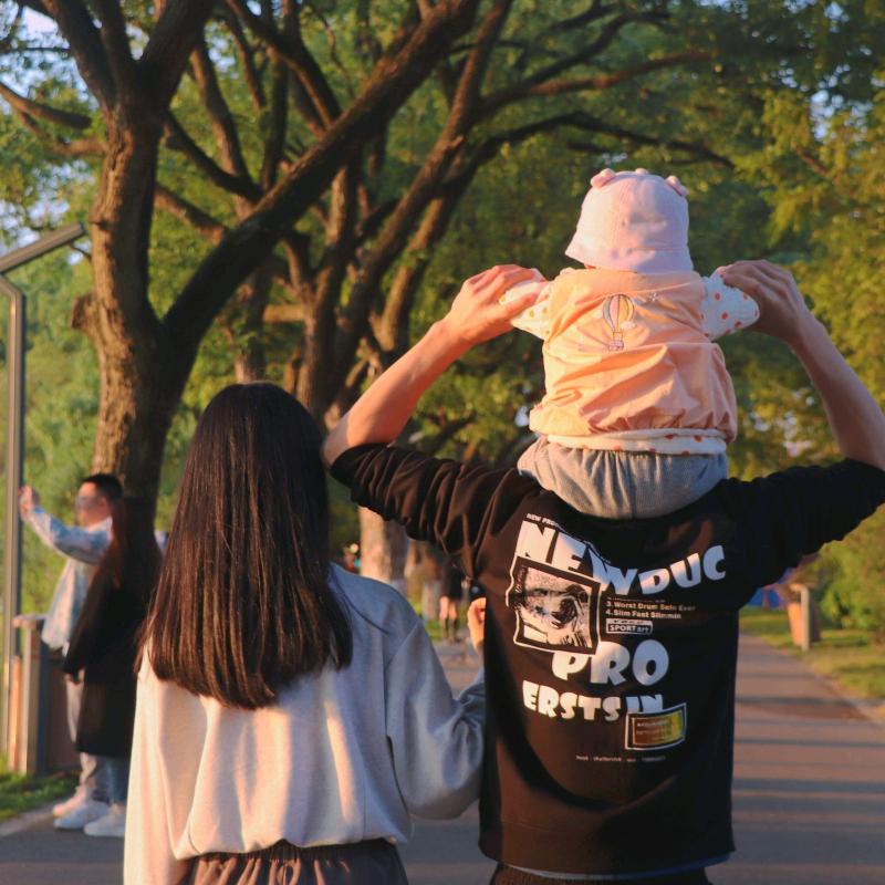 佩奇是只小金毛