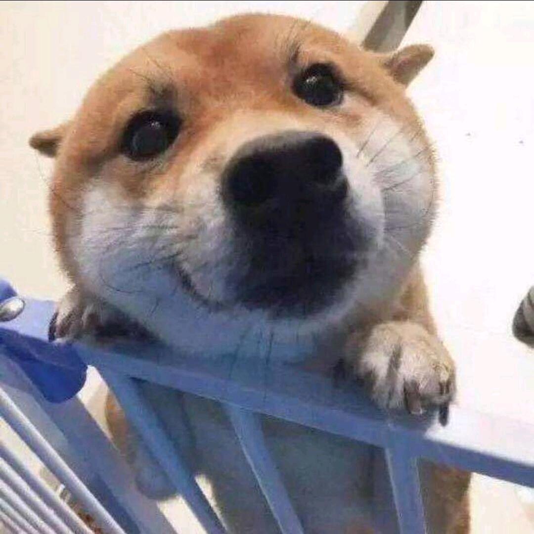 附近.手工