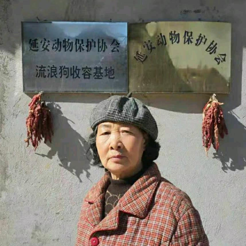 闫占云