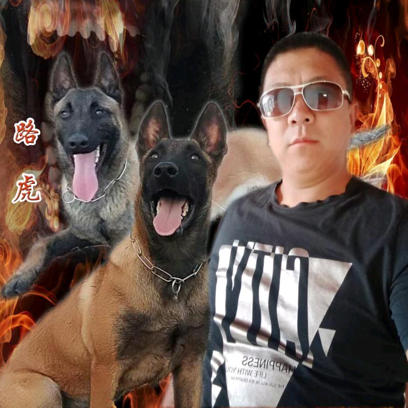 南来北往