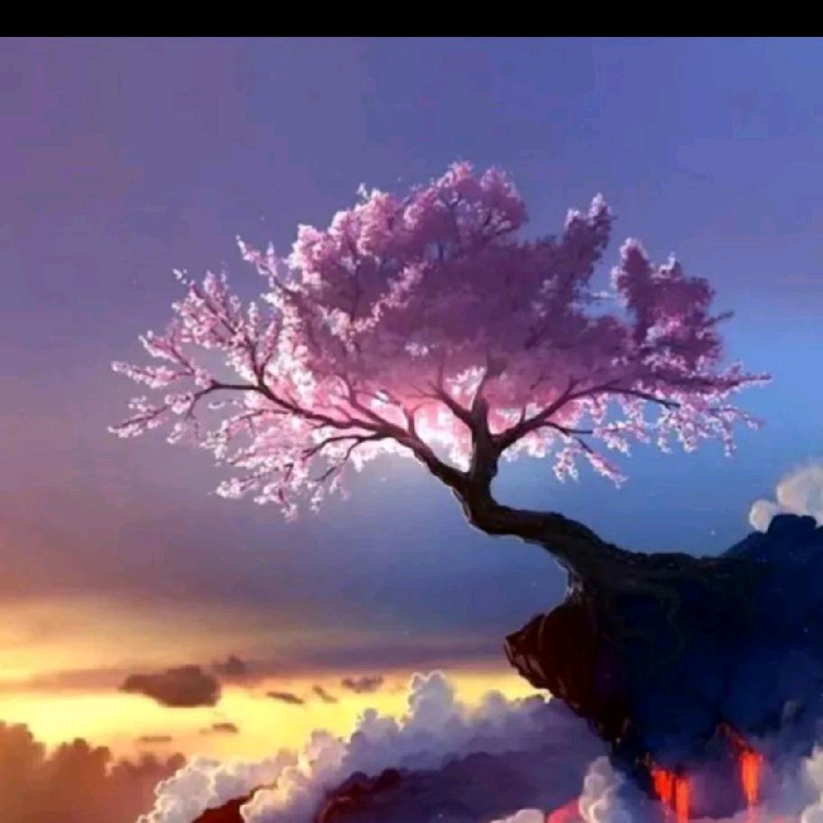 一枝独秀