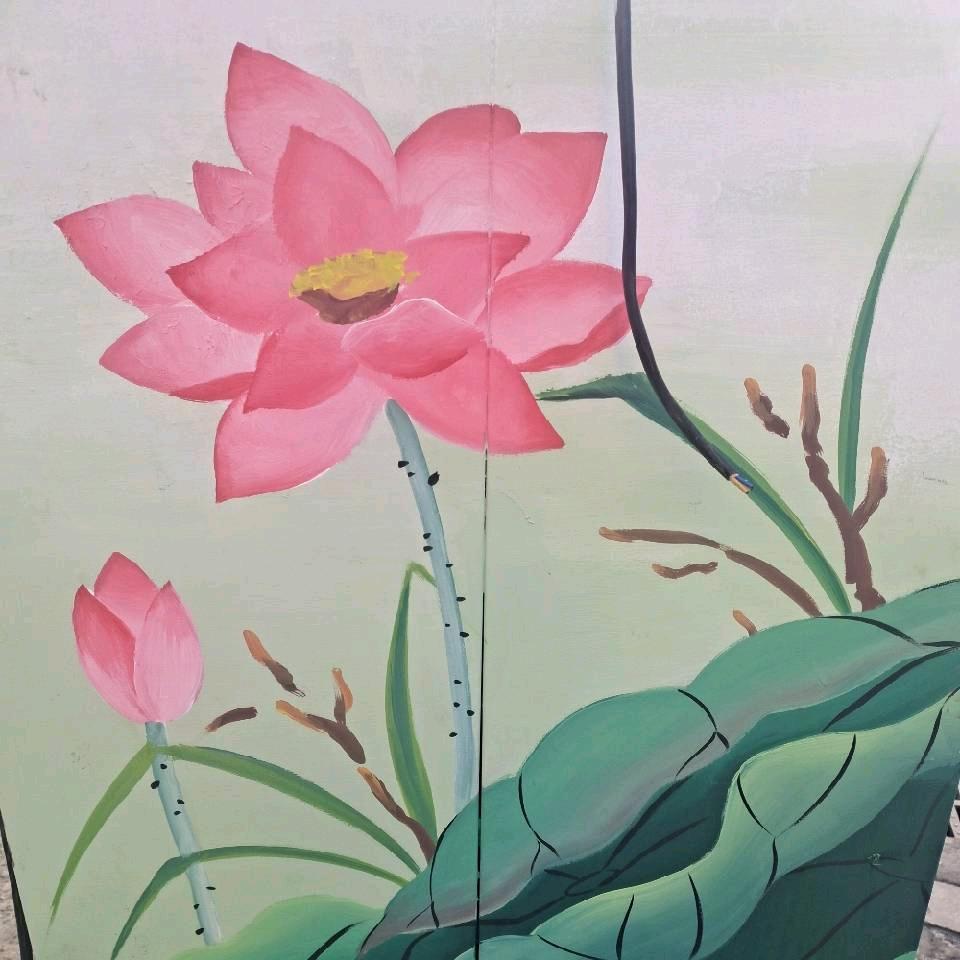 缘姐