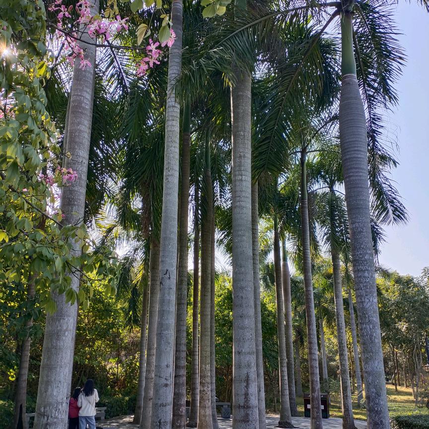 春天里的阳光真好