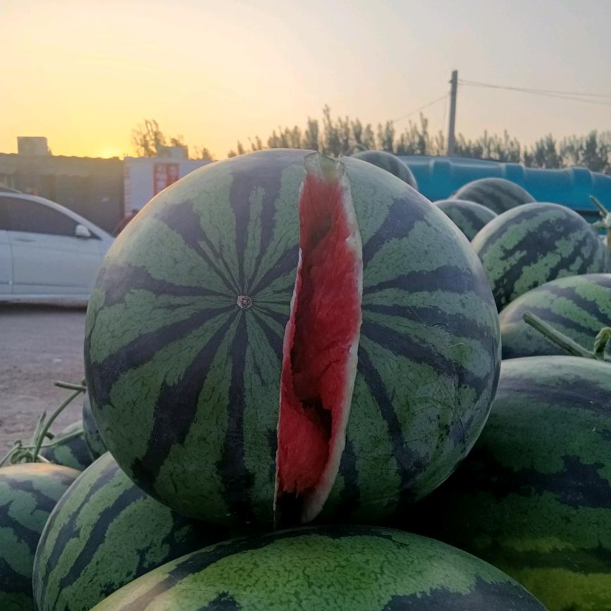 杨吉来西瓜，水果，代办，代发，代卖