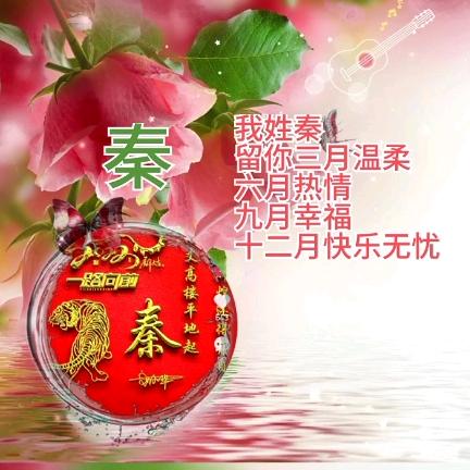 鹏哥 手机 摄影