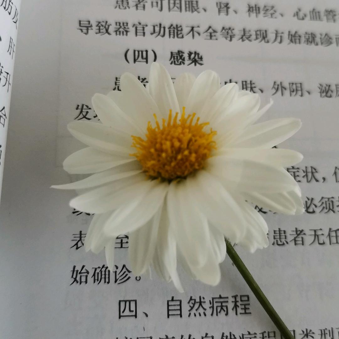 zyx