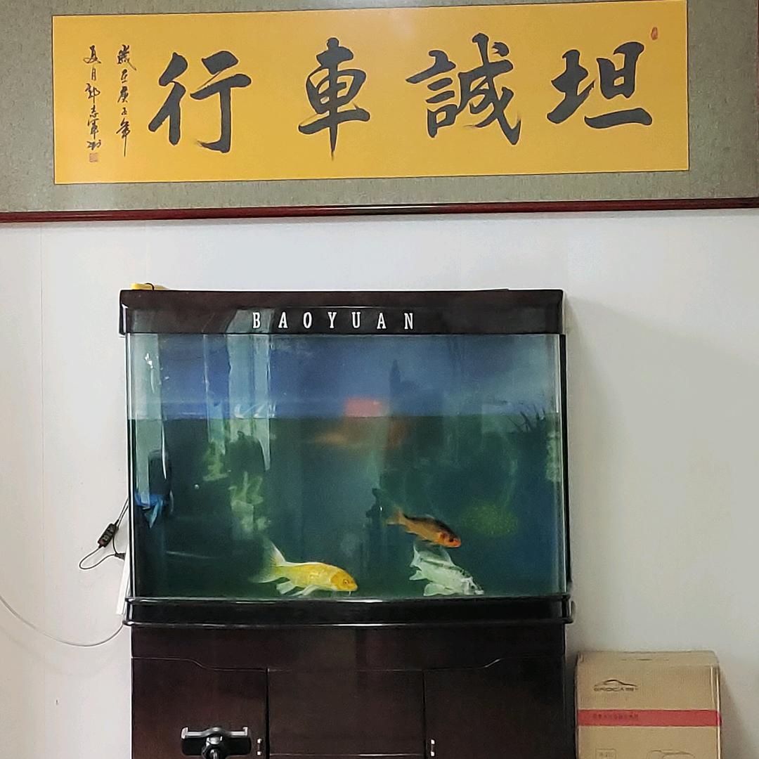 宇刚