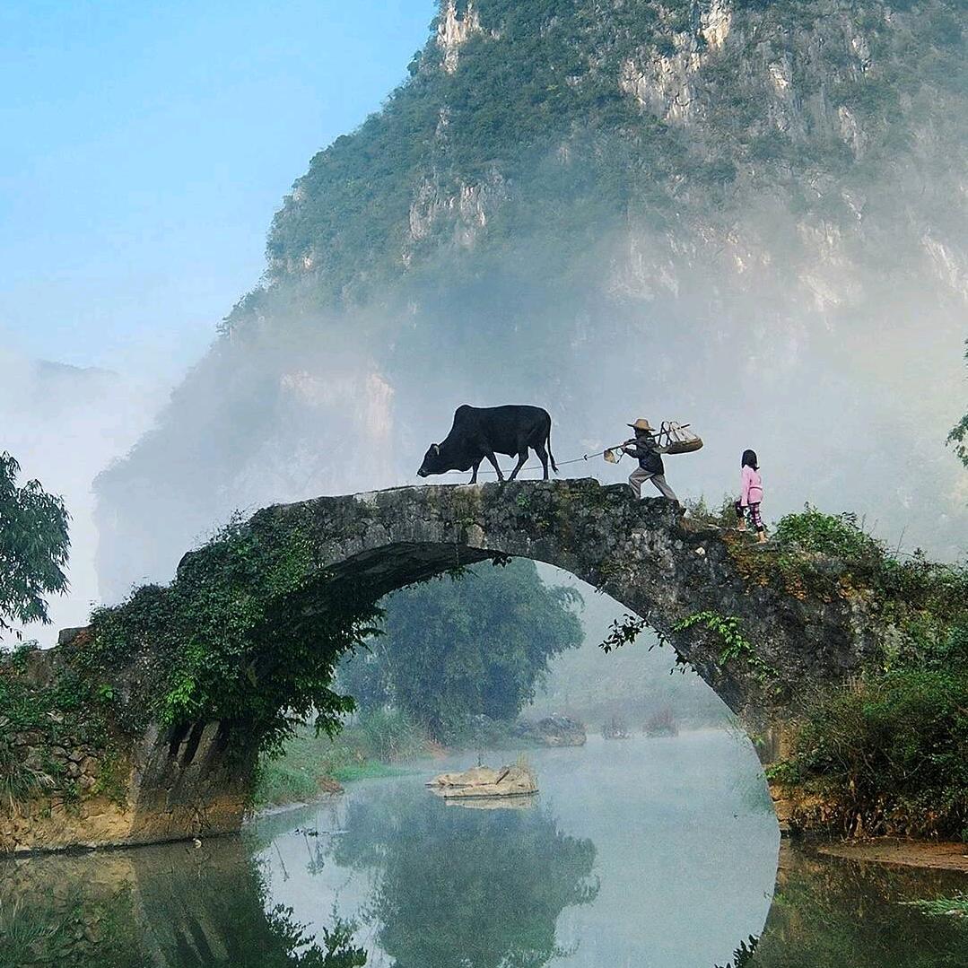 商城李军