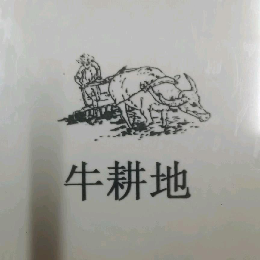 牛耕地