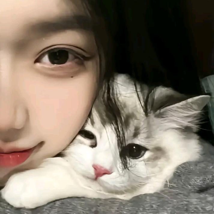 拥有一只猫🐱