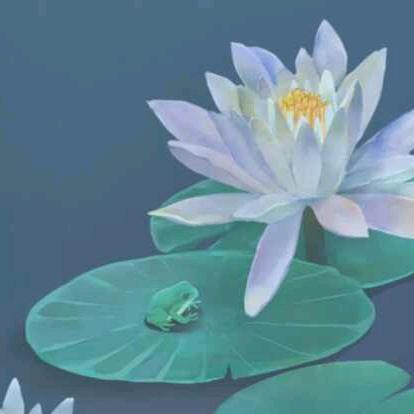 菊***