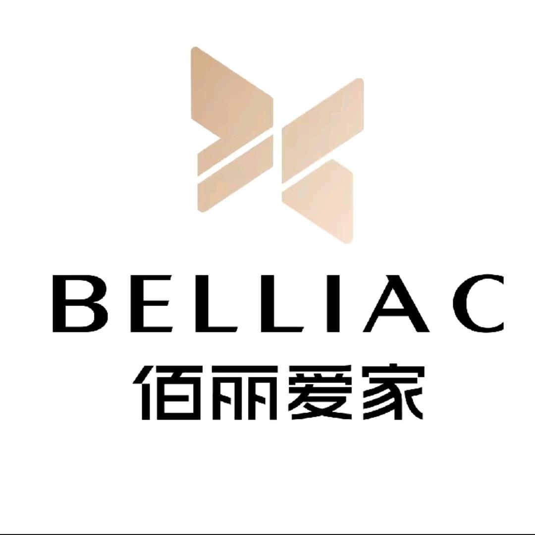 佰丽爱家家居定制