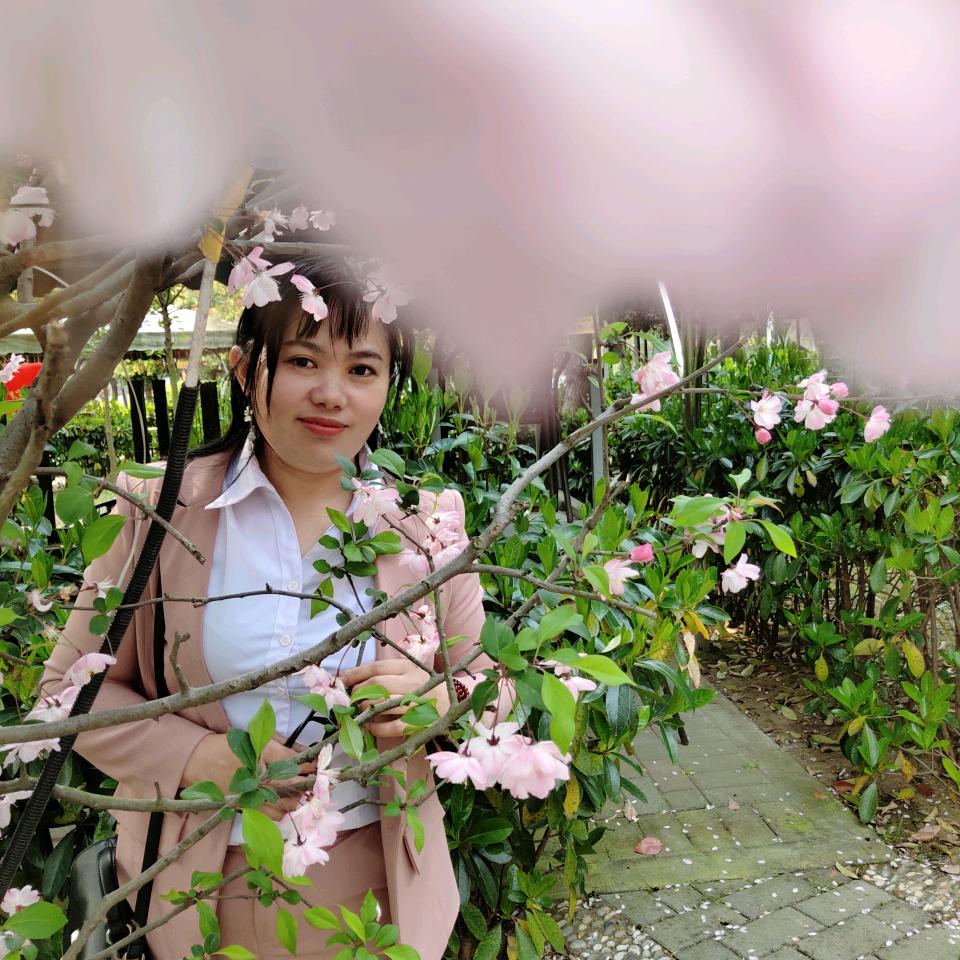 花好月圆芬芬