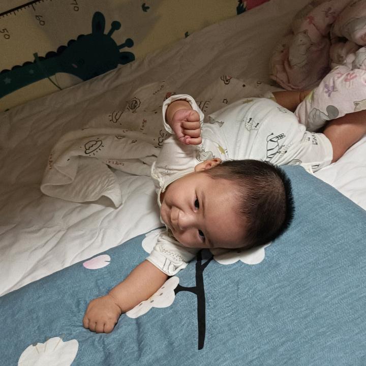 鹏哥斯拉