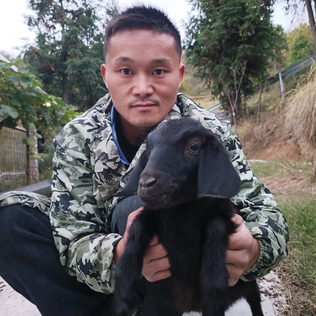 麻城市龟山镇永乐养殖场