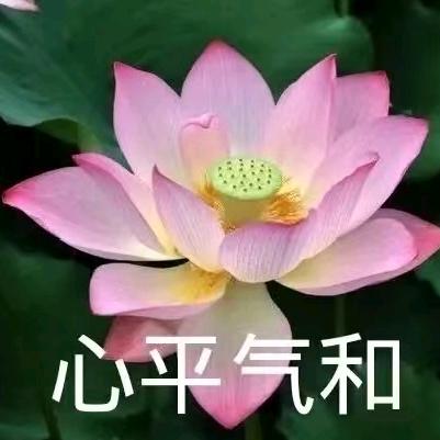 小可妈妈
