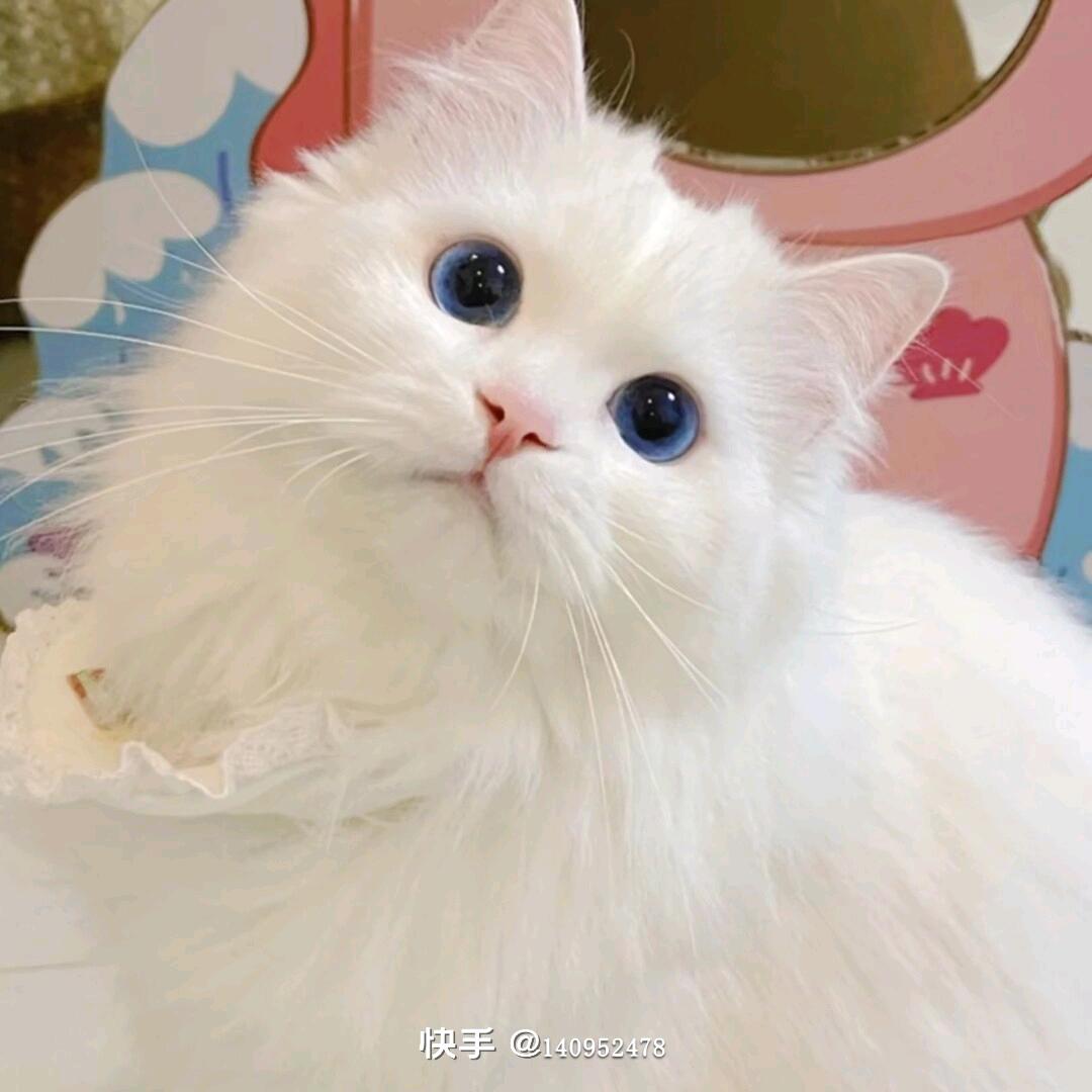 财眉富眼