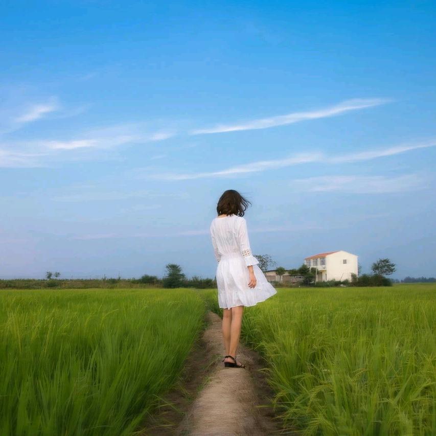 思路