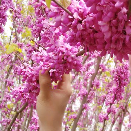 平凡的女人2025..11.23..号