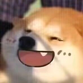 不说脏话的瓜皮