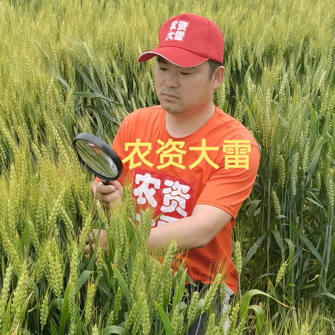 农资大雷农技