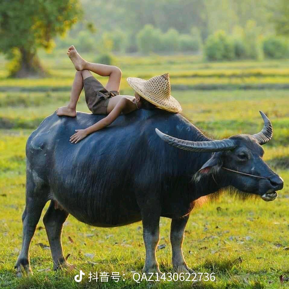 等待