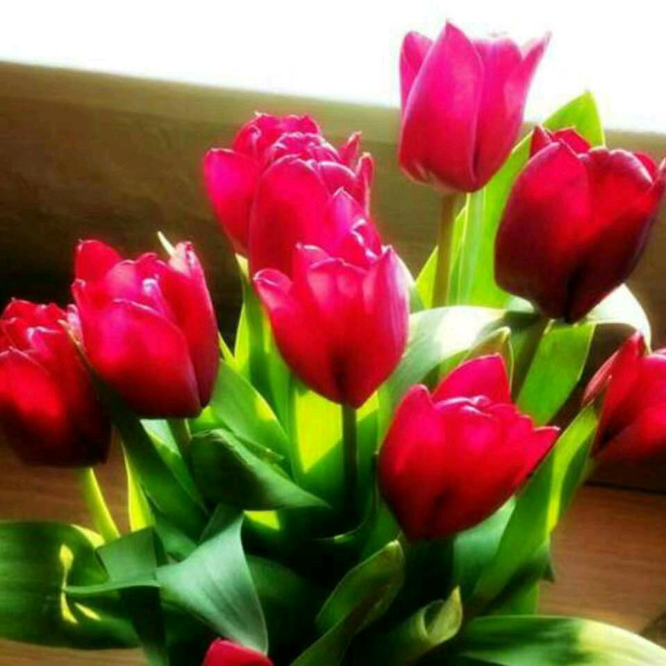 🌹随缘🌸