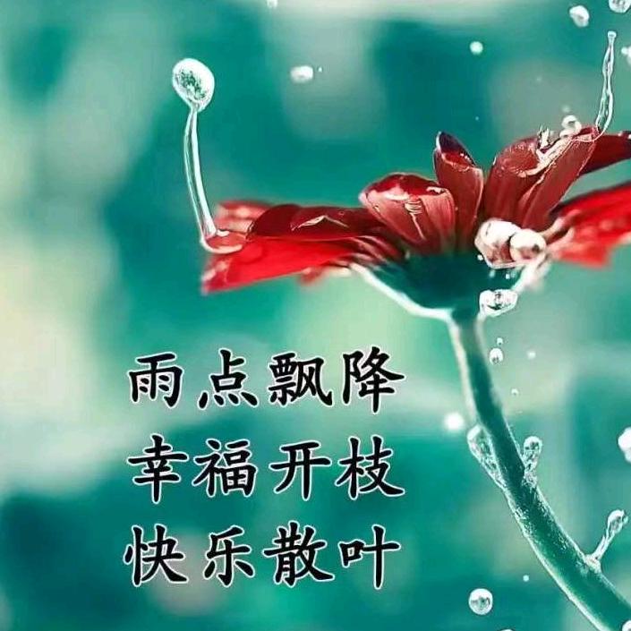 劉七哥
