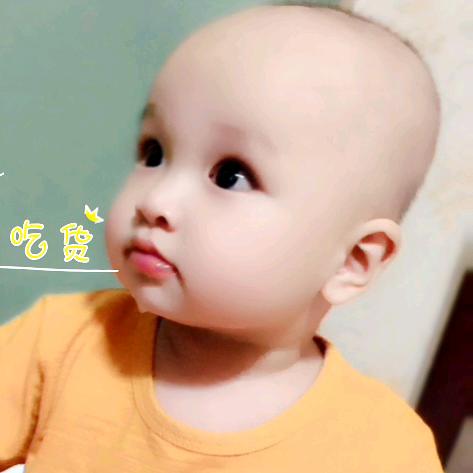 花与海