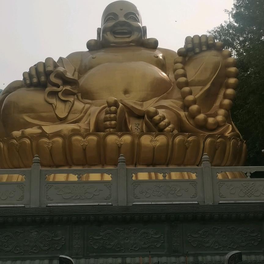 大家好