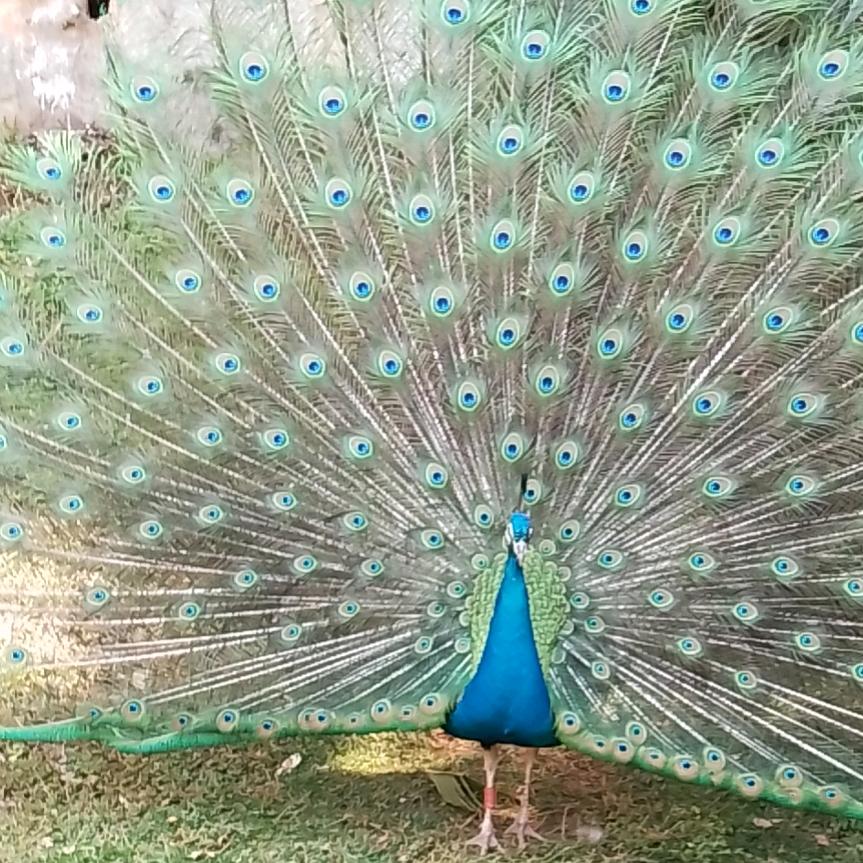 @顺其自然