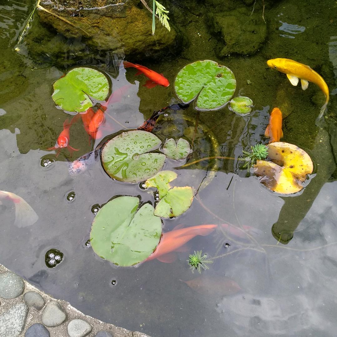 :山青水秀