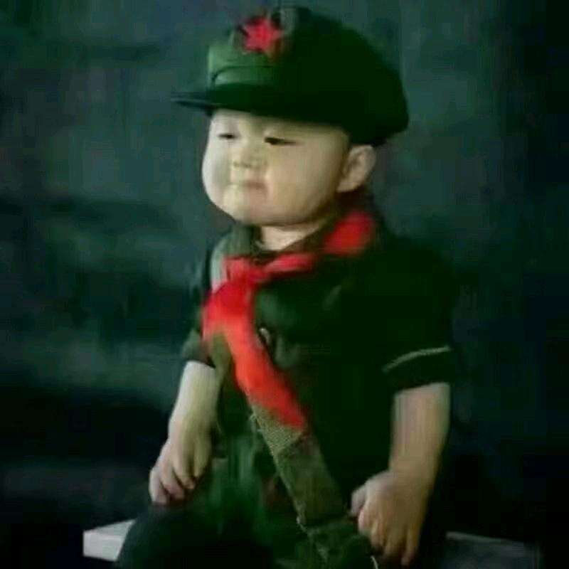 （《从头再来》）